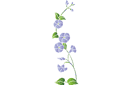 Hasenglöckchen-Winde - schablonen für blumen zeichnen Hasenglöckchen-Winde - schablonen für blumen zeichnen