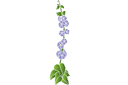Ackerwinde - schablonen für blumen zeichnen Ackerwinde - schablonen für blumen zeichnen