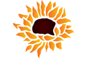 Eine Sonnenblume - schablonen für blumen zeichnen