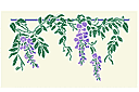 Große Glyzinie - schablonen für gartenpflanzen zeichnen