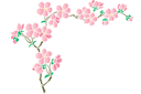 Ecke aus Sakura-Kirschblüten - schablonen mit östlich motiven