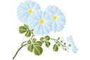 Inländische Kamille - schablonen für blumen zeichnen Inländische Kamille - schablonen für blumen zeichnen