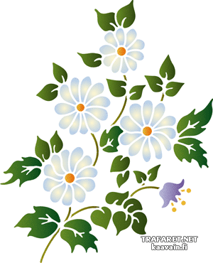 Blumenstrauß der Kamille im Folk-Style - Schablone für die Dekoration